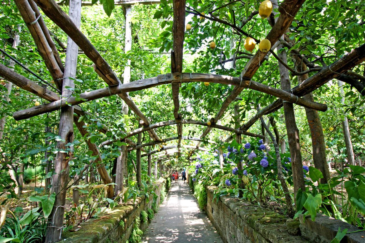 I Giardini Di Cataldo Sorrento Villa Dış mekan fotoğraf